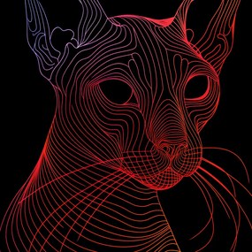 Poszter 70x70cm Digitális macska