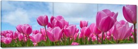 Vászonkép 60x20 Tulipánok Virágok