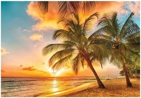 Fotótapéta naplemente tengerpart pálmafák 208 x 146