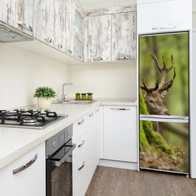 Dekor matrica hűtőre Szarvas FridgeStick-70x190-f-88923156