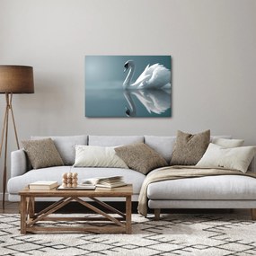 Kép - Fehér hattyú (70x50 cm)