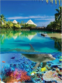 Fotótapéta tenger tengerpart óceán fotótapéta 184 x 254