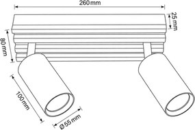 Brilagi - Irányítható spotlámpa SELE WOOD 2xGU10/30W/230V fehér/fa