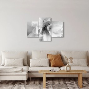 Kép - Virág, fekete-fehér (90x60 cm)