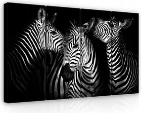 Vászonkép 120x80 Zebra fekete-fehér Afrika csíkos grafika modern elegancia