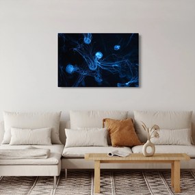 Kép - Medúza (90x60 cm)