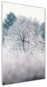 Akril üveg kép Erdőben télen oav-142936706