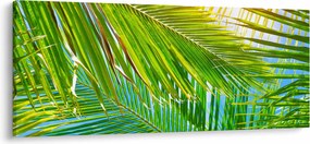 Kép - Pálmalevelek (120x50 cm)