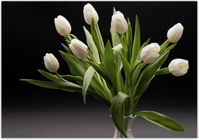 Poszterek 100x70 Fehér tulipánok vázában