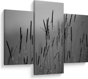 Kép - Fűszálak (90x60 cm)