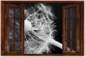 Poszterek 90x60 Pitypang Virág Virágok