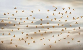 Divatos Flizelin Tapéta Ragasztóval Fali 3D Madarak Repülés 416x254 Ragasztó