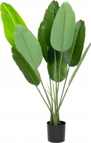 Tropical Zone banánfa szobanövény cserépben 90 cm Homla