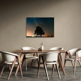 Egy éjszakai égbolt fákkal képe (üvegen) (70x50 cm)