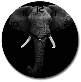 Kerek üvegóra Afrikai elefánt pl_zso_30_c-f_49228540