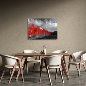 Kép - fák őszi színben (üvegen) (70x50 cm)