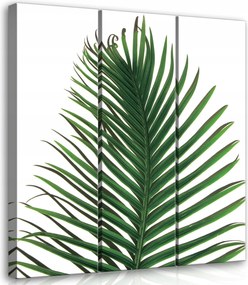 Vászonkép 90x100 Pálmalevél trópusok zöld természet frissesség minimalizmus nyugalom