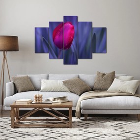 Tulipán bimbó képe (150x105 cm)
