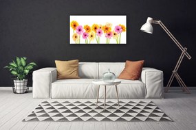 Canvas kép Színes százszorszép virágok 125x50 cm
