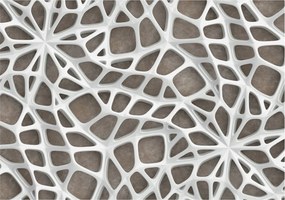 Dekoratív Fali Fotótapéta Falra Geometrikus háló 208x146 Ragasztó