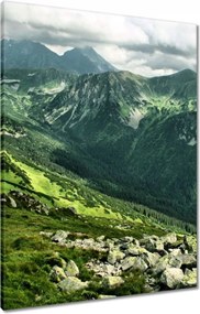 Vászonkép 60x80 Tátra Lengyel hegyek Kilátás