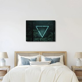 Kép - Neon háromszög a dzsungelben (70x50 cm)