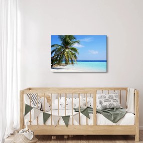 Pálmafák a strandon képe (90x60 cm)