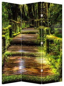 Paraván - Lépcső az esőerdőben (126x170 cm)