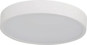 Pandino LED általános mennyezeti lámpa