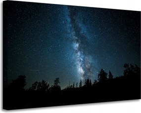 Vászonkép Kozmosz Éjszaka Erdő Köd Természet Csillagászat 90x60