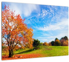Kép - Őszi táj (üvegen) (70x50 cm)