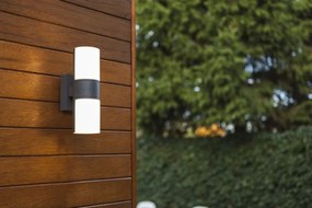 Kültéri Fali Lámpa Szürke Cyra LUTEC 5198101118