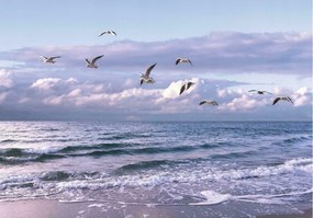 Fotótapéta Tenger Tengerpart Ég Óceán Nappali 312x219