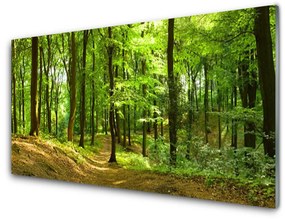 Üvegkép Forest Path Természet 100x50 cm