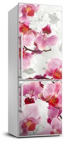 Matrica hűtőre Rózsaszín orchidea FridgeStick-70x190-f-44684614