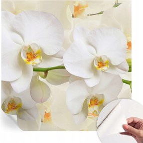 Design fali fotótapéta öntapadós virágos gazdagság 250x250 cm