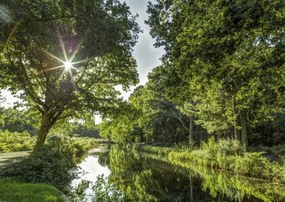 Poszter 84x59,5cm Basingstoke csatorna vidéken 2, Assaf Frank