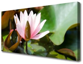 Vászonkép nyomtatás Természet virág növény 100x50 cm