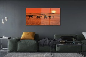 Akrilkép Tevék az emberek sivatagi nap ég 100x50 cm