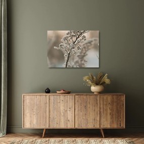 Üveg kép - Növény fagyban (70x50 cm)