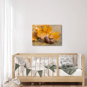 Kép - Őszi makk (70x50 cm)