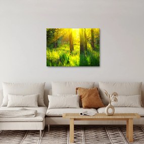 Kép - Az erdő tavaszi ébredése (70x50 cm)