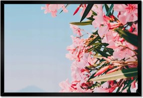 Poszterek keretben 60x40 Virágok