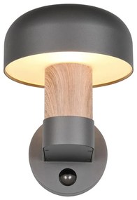 Fali kültéri lámpa (magasság 24,5 cm) Fraser – Trio