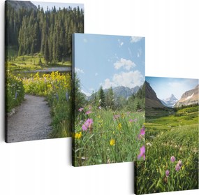 Vászonkép 150 cm **többféle minta** Nappali Képek Triptichon Virágok