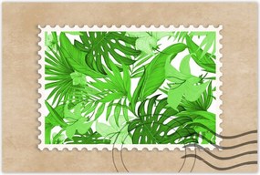 Poszterek 60x40 Leaves Monstera New look