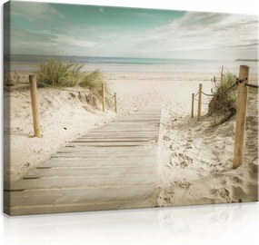 Vászonkép 80x60 Tenger part tengerpart fa ösvény nyugalom ég dűnék természet