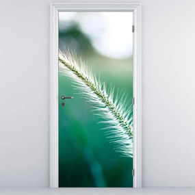 Fotótapéta ajtóra - Fűszál (95x205cm)