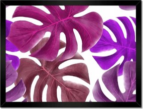 Poszter keretben 40x30 Monstera Levelek Lila