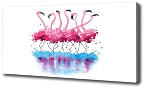Vászonkép nyomtatás Flamingók oc-98015396